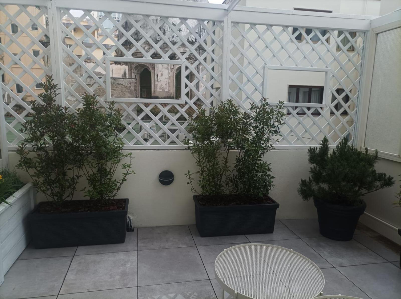 Domus Cervantes Apartment Napoli Eksteriør bilde